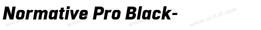 Normative Pro Black字体转换
